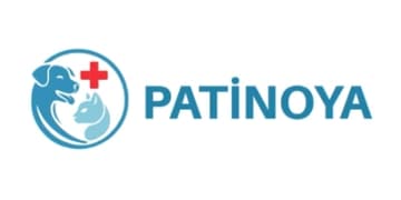 patinoya